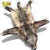 Image 2 : Vintage Taxidermied Wolf Skin Rug