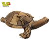 Image 4 : Vintage Carved Wood Turtle With Babies