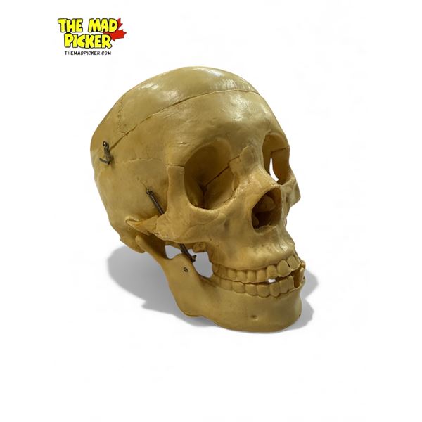 Vintage Medical Skull