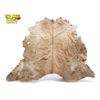 Image 1 : Cow Hide