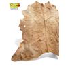 Image 2 : Cow Hide