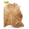 Image 3 : Cow Hide