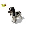 Image 2 : Vintage Beswick Porcelain Springer Spaniel Dog