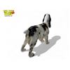 Image 4 : Vintage Beswick Porcelain Springer Spaniel Dog