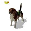 Image 2 : Vintage Beswick Porcelain Beagle Dog
