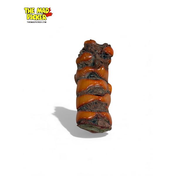 Large Piece Of Fossilized Coral