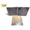 Image 2 : 3 Heavy Metal Vinyl Records, In Sleeves