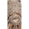 Image 3 : Alessandro Margino Italian Sterling Silver Poodle