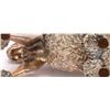 Image 4 : Alessandro Margino Italian Sterling Silver Poodle