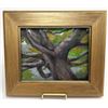 Image 1 : Shane McDonald Shade Tree Oil on Canvas Painting