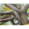 Image 3 : Shane McDonald Shade Tree Oil on Canvas Painting