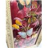 Image 4 : Vintage Butterfly Taxidermy Display