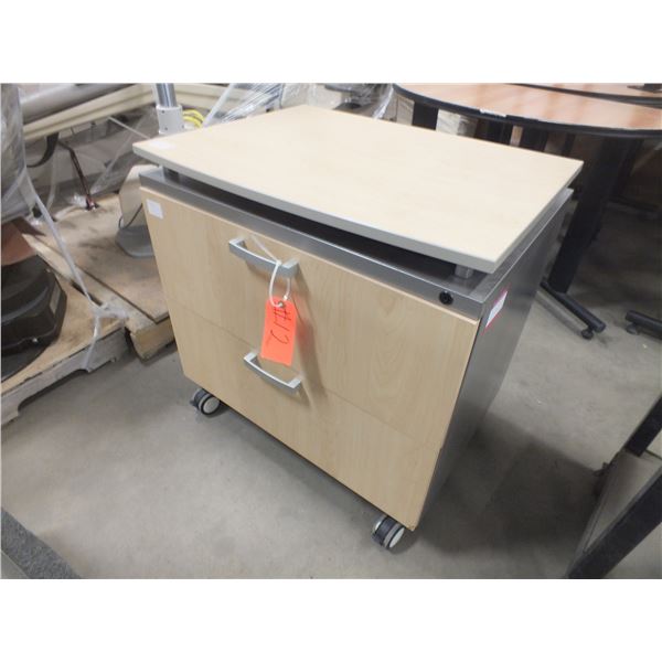 2 Door Storage Cabinet