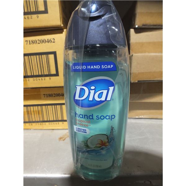 1 Case Of Dial Hand Soap