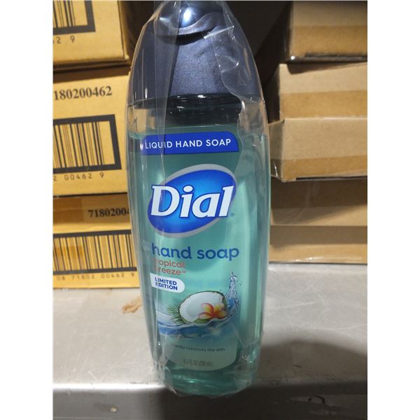 1 Case Of Dial Hand Soap