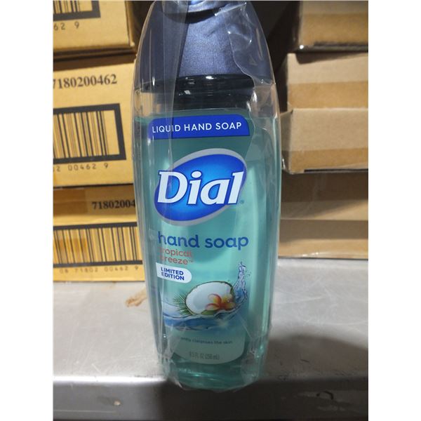 1 Case Of Dial Hand Soap