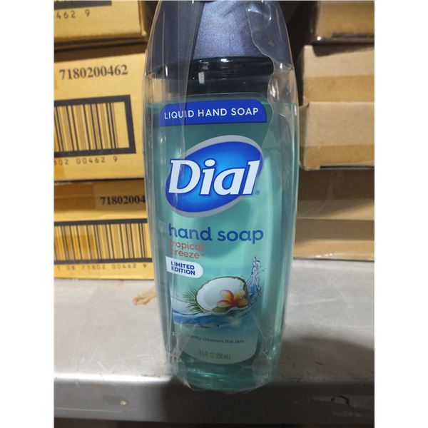 1 Case Of Dial Hand Soap