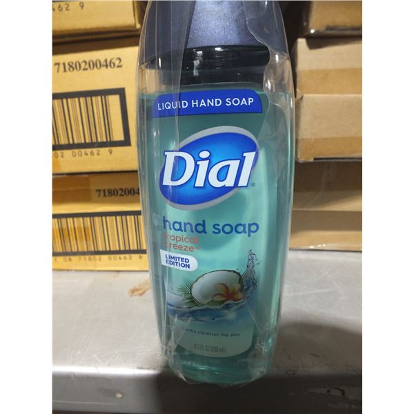 1 Case Of Dial Hand Soap