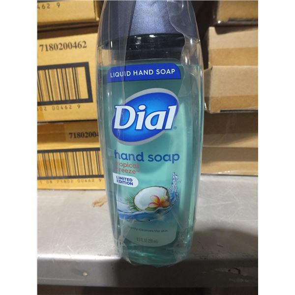 1 Case Of Dial Hand Soap