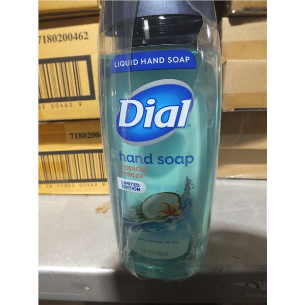 1 Case Of Dial Hand Soap