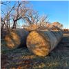 Image 2 : 2025 Alfalfa Round Hay Bales -No Rain   1263 lbs Avg   Feed Test Results in Pictures