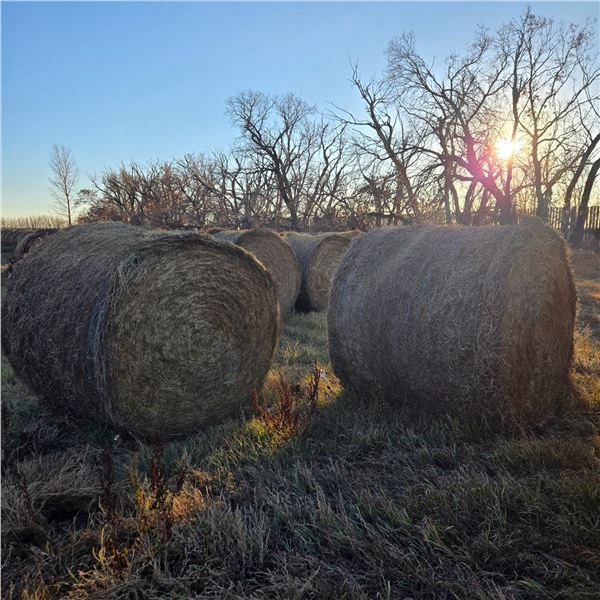 2025 Alfalfa Round Hay Bales -No Rain   1263 lbs Avg   Feed Test Results in Pictures