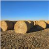 Image 2 : Barley Straw Round Bales