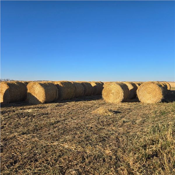 Barley Straw Round Bales
