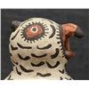 Image 14 : ZUNI OWL