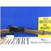 Image 7 : NEW - Non-Restricted - Henry Model H001M in 22 Magnum