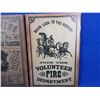 Image 3 : 2 Wood Signs - Lightning Express and Volunteer Fire Department