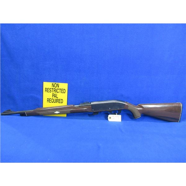 Non-Restricted - Remington Nylon 77 in 22 LR