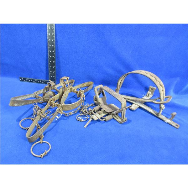 4 Animal Traps - 2 Oneida Victor, 2 Unknown