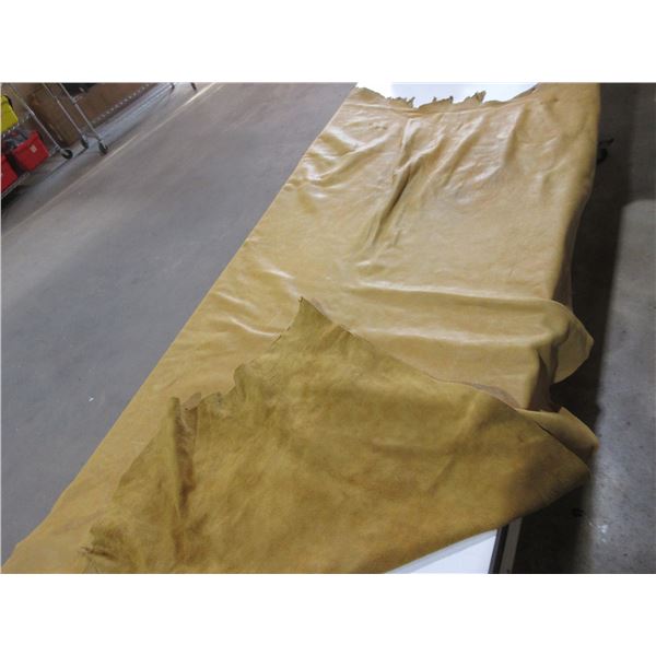 Large Moose Hide - Approx. 64" x 40" - Stamped 595