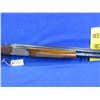 Image 7 : Non-Restricted - Rizzini Emilio in 12 Ga. 2 3/4"