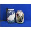 Image 1 : 2 Hand Painted 1 Gallon Glass Jars - PICK UP ONLY