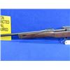 Image 3 : Non-Restricted - ERA P14 Enfield in 303 British
