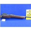 Image 7 : Non-Restricted - ERA P14 Enfield in 303 British