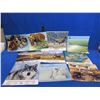Image 1 : 10 Misc. Calendars - Wildlife/Nature Themes