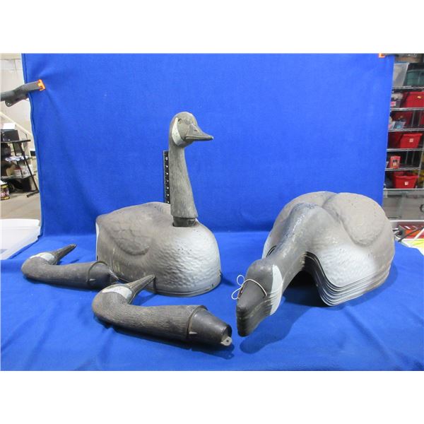 12 Plastic Canada Goose Decoys - Sportsman Decoys 1983 Ltd.