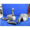 Image 1 : 12 Plastic Canada Goose Decoys - Sportsman Decoys 1983 Ltd.
