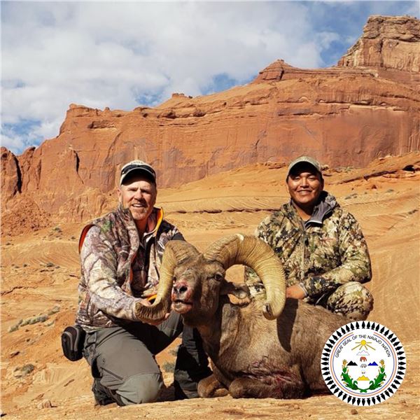 NAVAJO NATION DESERT BIGHORN