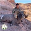 Image 3 : NAVAJO NATION DESERT BIGHORN