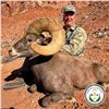 Image 9 : NAVAJO NATION DESERT BIGHORN