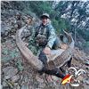 Image 1 : 4-DAY SOUTHEASTERN IBEX HUNT FOR 2 HUNTERS