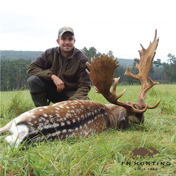 5-DAY FALLOW & RED STAG HUNT FOR 1 HUNTER AND 1 NON-HUNTER