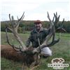 Image 2 : 5-DAY FALLOW & RED STAG HUNT FOR 1 HUNTER AND 1 NON-HUNTER