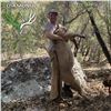 5-DAY ARIZONA MOUNTAIN LION HUNT WITH HOUNDS FOR 1 HUNTER