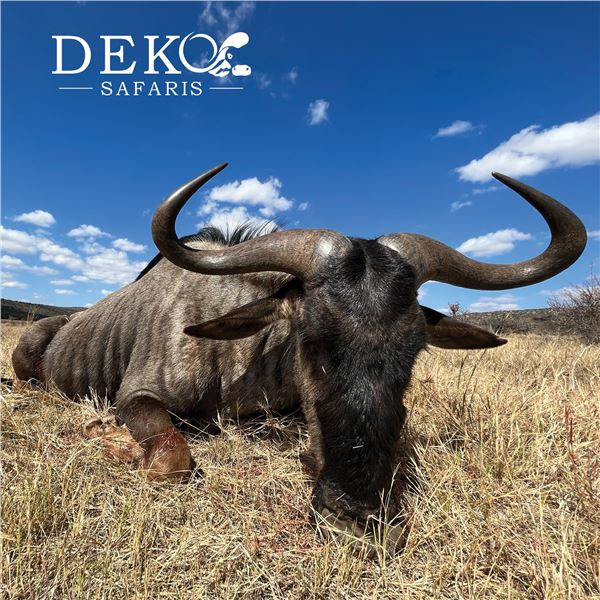 7-DAY/6-NIGHT IMPALA & BLESBUCK HUNT FOR 4 HUNTERS