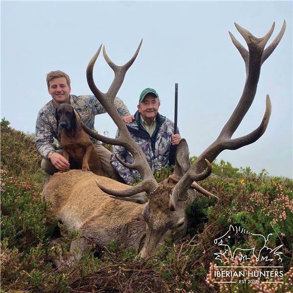 3-DAY RED STAG HUNT FOR 1 HUNTER IN SPAIN